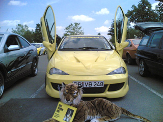 Bild 31